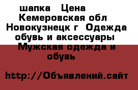 шапка › Цена ­ 750 - Кемеровская обл., Новокузнецк г. Одежда, обувь и аксессуары » Мужская одежда и обувь   